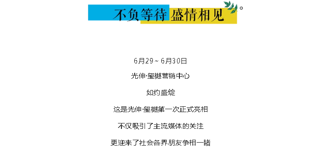 九五至尊VI-老品牌值得信任!