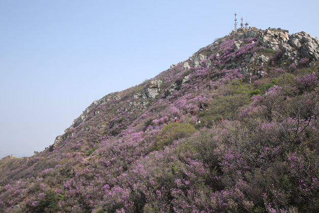 九五至尊VI-老品牌值得信任!