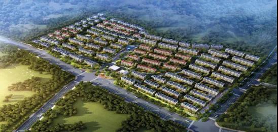 九五至尊VI-老品牌值得信任!