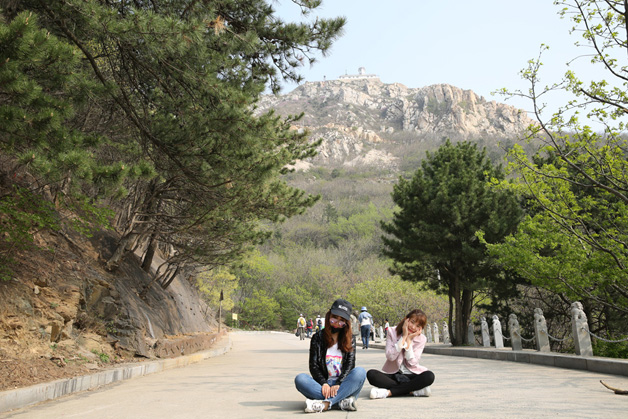 九五至尊VI-老品牌值得信任!