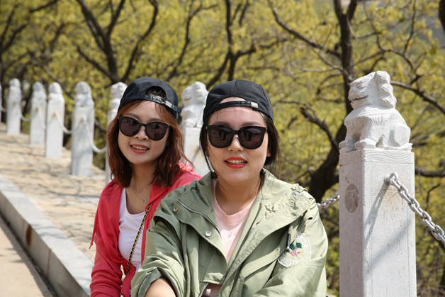 九五至尊VI-老品牌值得信任!