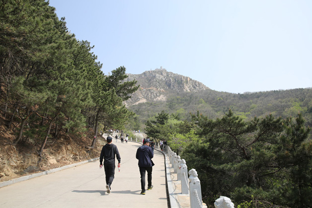 九五至尊VI-老品牌值得信任!