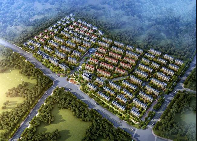 九五至尊VI-老品牌值得信任!