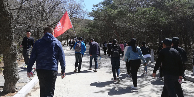 九五至尊VI-老品牌值得信任!