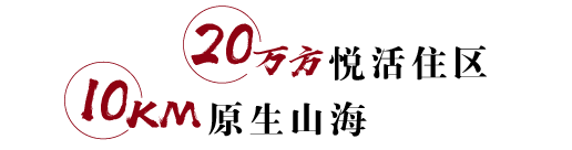 九五至尊VI-老品牌值得信任!