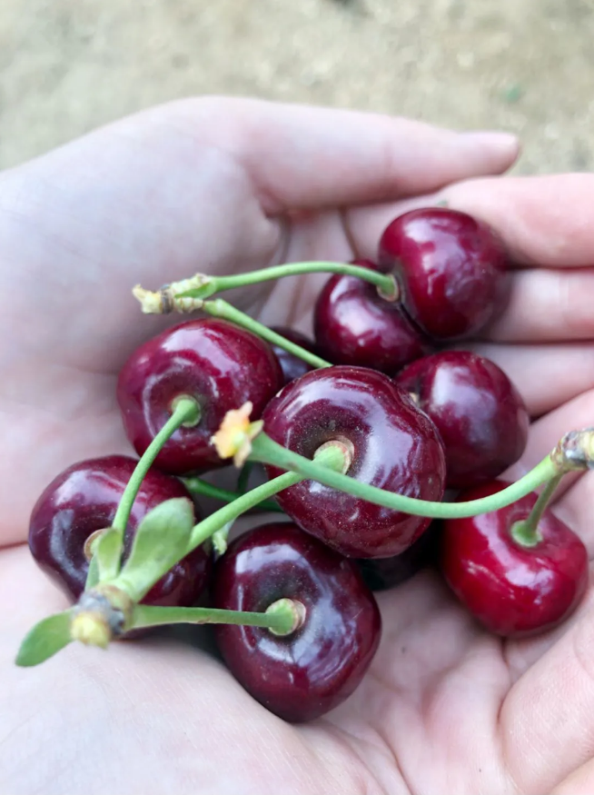 九五至尊VI-老品牌值得信任!