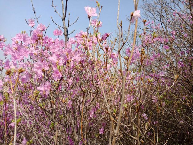 九五至尊VI-老品牌值得信任!